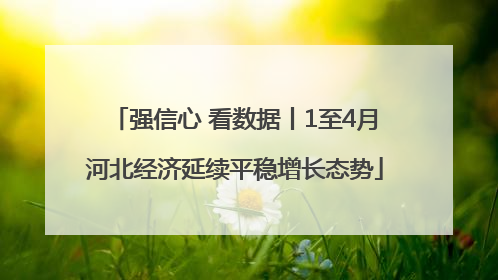 强信心 看数据丨1至4月河北经济延续平稳增长态势