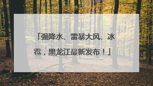 强降水、雷暴大风、冰雹，黑龙江最新发布！