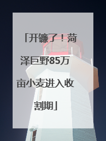 开镰了！菏泽巨野85万亩小麦进入收割期