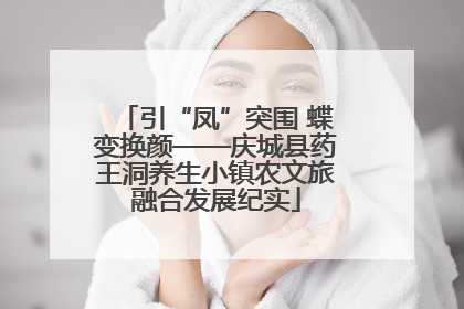 引“凤”突围 蝶变换颜——庆城县药王洞养生小镇农文旅融合发展纪实