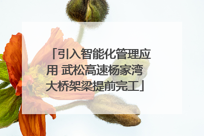 引入智能化管理应用 武松高速杨家湾大桥架梁提前完工