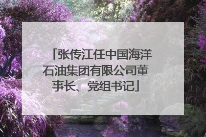 张传江任中国海洋石油集团有限公司董事长、党组书记
