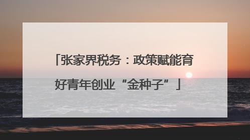 张家界税务：政策赋能育好青年创业“金种子”