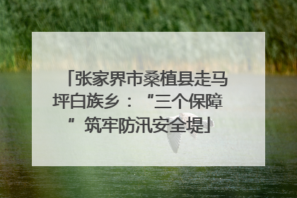 张家界市桑植县走马坪白族乡：“三个保障”筑牢防汛安全堤