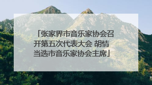 张家界市音乐家协会召开第五次代表大会 胡情当选市音乐家协会主席