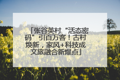 张谷英村“活态密码”引百万客！古村焕新，家风+科技成文旅融合新爆点