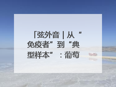 弦外音｜从“免疫者”到“典型样本”：葡萄牙极右翼崛起背后的欧洲困局