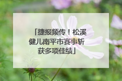 捷报频传！松溪健儿南平市赛事斩获多项佳绩