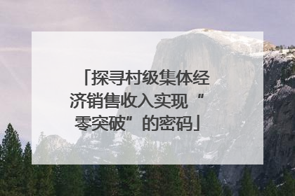 探寻村级集体经济销售收入实现“零突破”的密码