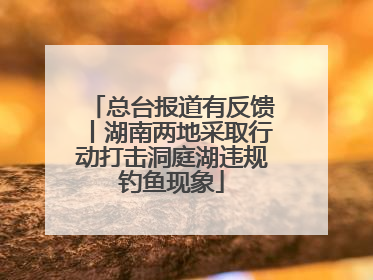 总台报道有反馈丨湖南两地采取行动打击洞庭湖违规钓鱼现象