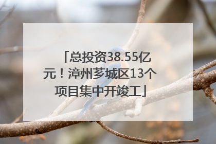 总投资38.55亿元！漳州芗城区13个项目集中开竣工
