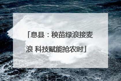 息县:秧苗绿浪接麦浪 科技赋能抢农时
