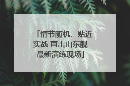 情节随机、贴近实战 直击山东舰最新演练现场
