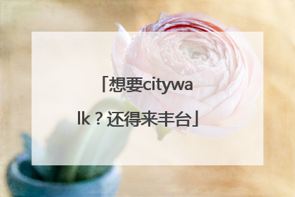想要citywalk？还得来丰台