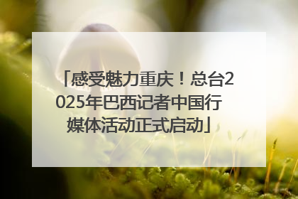 感受魅力重庆！总台2025年巴西记者中国行媒体活动正式启动