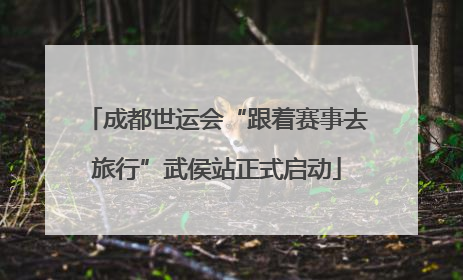 成都世运会“跟着赛事去旅行”武侯站正式启动