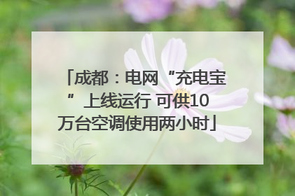 成都：电网“充电宝”上线运行 可供10万台空调使用两小时