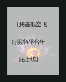 我省低空飞行服务平台年底上线
