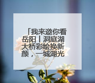 我来邀你看岳阳丨洞庭湖大桥彩绘换新颜，一城湖光入画来