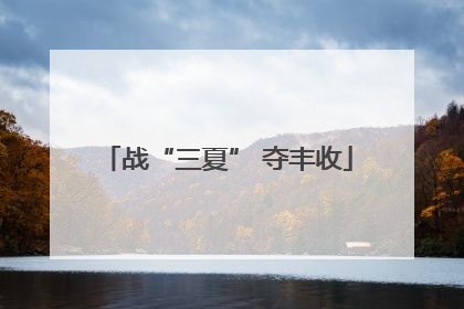 战“三夏” 夺丰收