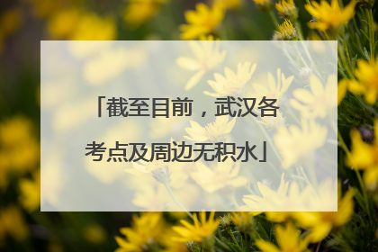 截至目前，武汉各考点及周边无积水