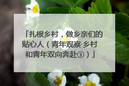 扎根乡村，做乡亲们的贴心人（青年观察·乡村和青年双向奔赴③）