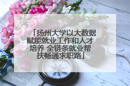 扬州大学以大数据赋能就业工作和人才培养 全链条就业帮扶畅通求职路