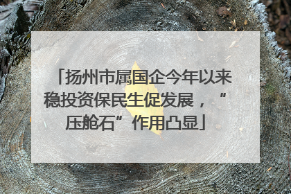 扬州市属国企今年以来稳投资保民生促发展，“压舱石”作用凸显