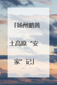 扬州鹅黄土高原“安家”记