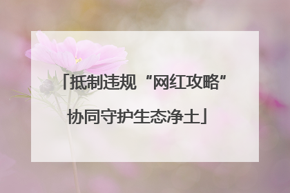 抵制违规“网红攻略” 协同守护生态净土