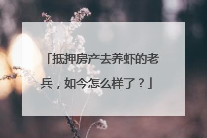 抵押房产去养虾的老兵，如今怎么样了？