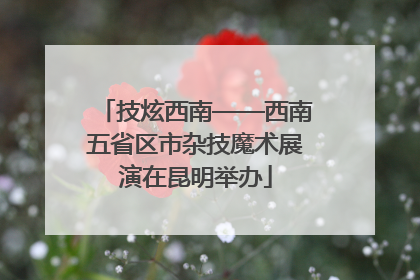 技炫西南——西南五省区市杂技魔术展演在昆明举办