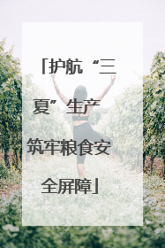 护航“三夏”生产 筑牢粮食安全屏障