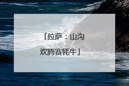 拉萨：山沟欢腾赛牦牛