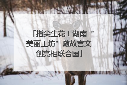 指尖生花！湖南“美丽工坊”随故宫文创亮相联合国