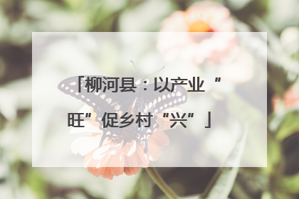 柳河县：以产业“旺”促乡村“兴”