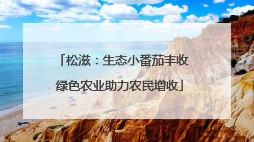 松滋：生态小番茄丰收 绿色农业助力农民增收
