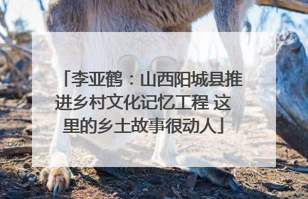 李亚鹤：山西阳城县推进乡村文化记忆工程 这里的乡土故事很动人