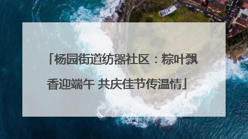 杨园街道纺器社区：粽叶飘香迎端午 共庆佳节传温情