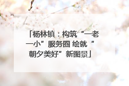 杨林镇：构筑“一老一小”服务圈 绘就“朝夕美好”新图景