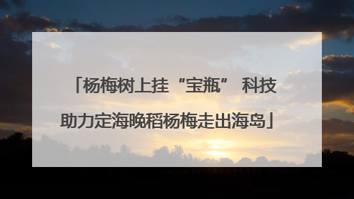 杨梅树上挂“宝瓶” 科技助力定海晚稻杨梅走出海岛