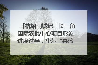 杭绍同城记｜长三角国际农批中心项目形象进度过半，华东“菜篮子”建设加码提速！