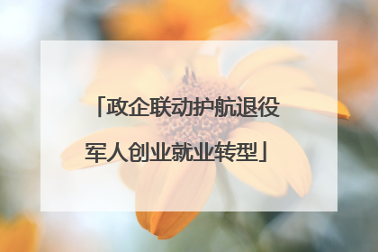 政企联动护航退役军人创业就业转型