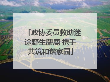 政协委员救助迷途野生麋鹿 携手共筑和谐家园