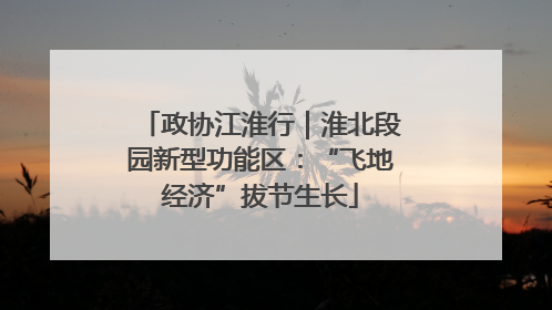 政协江淮行｜淮北段园新型功能区：“飞地经济”拔节生长