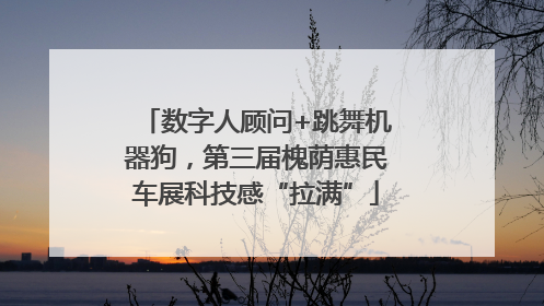 数字人顾问+跳舞机器狗，第三届槐荫惠民车展科技感“拉满”