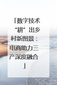数字技术“耕”出乡村新图景：电商助力三产深度融合