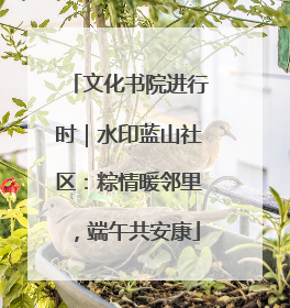 文化书院进行时｜水印蓝山社区：粽情暖邻里，端午共安康