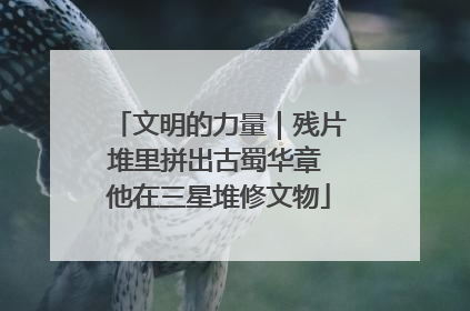 文明的力量｜残片堆里拼出古蜀华章 他在三星堆修文物