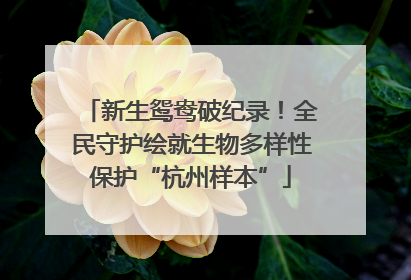 新生鸳鸯破纪录！全民守护绘就生物多样性保护“杭州样本”